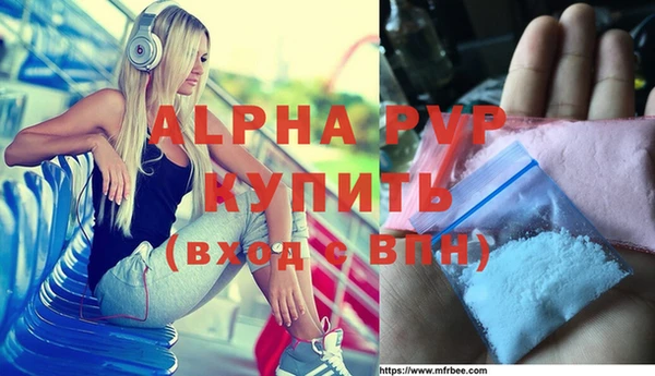 стаф Снежногорск