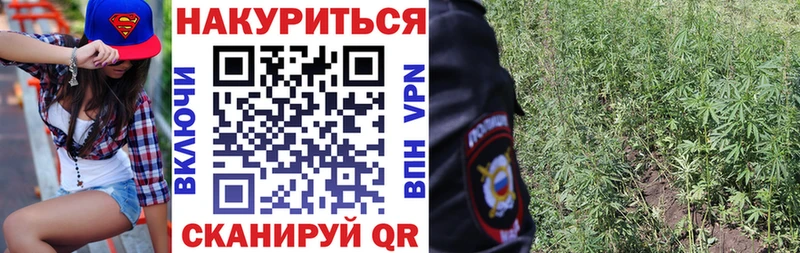 дарнет шоп  OMG зеркало  Канабис план  Иноземцево 